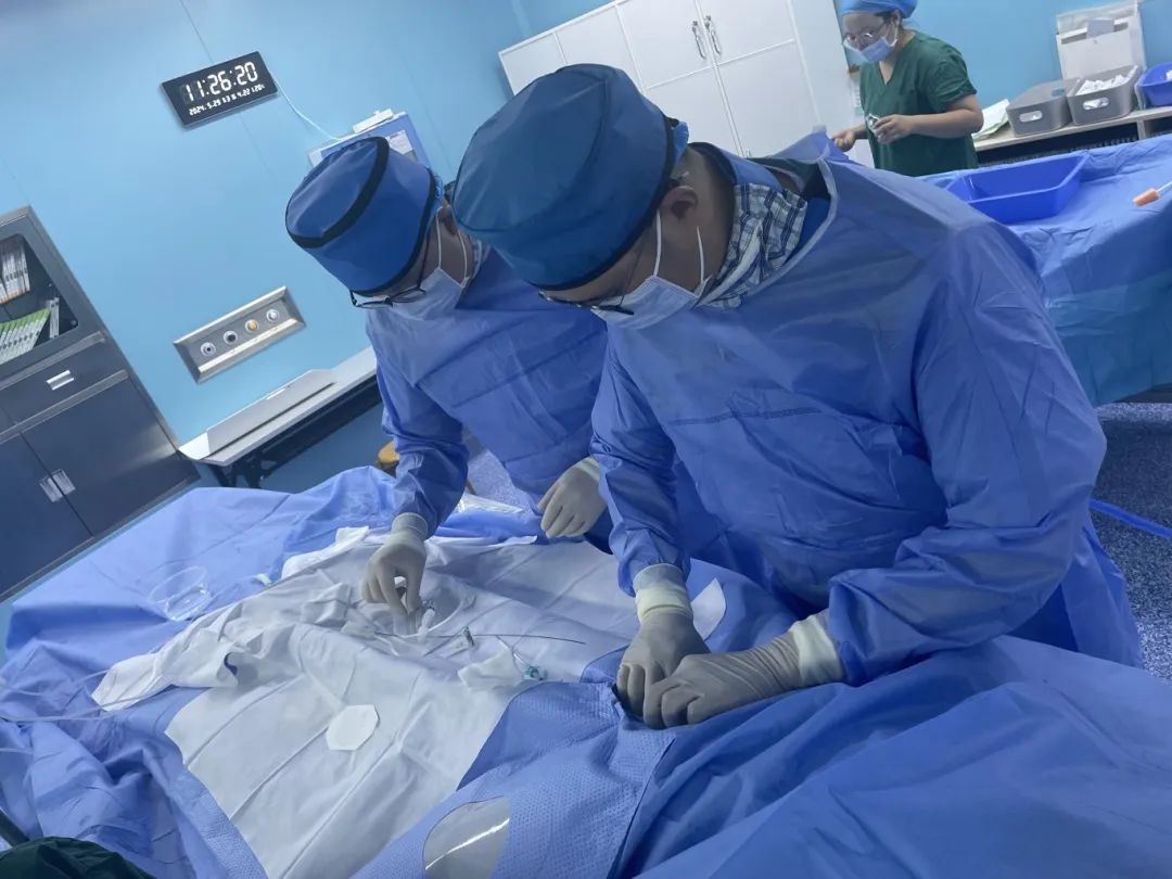 架起生命健康的“桥梁”——颈动脉支架
