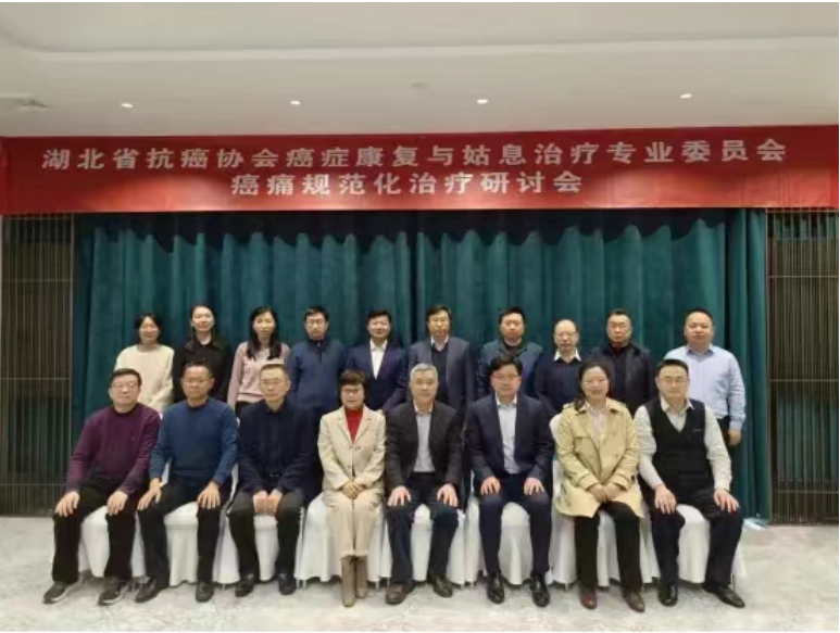 【新成就，创未来】武汉大学中南医院嘉鱼医院肿瘤科获得“湖北省癌痛规范化治疗病房”资质