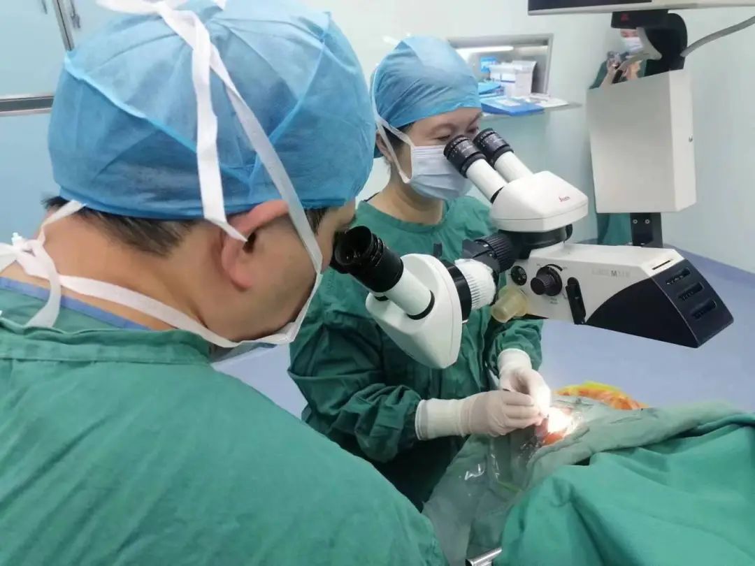 【眼科】倾心守护 为您点亮视界