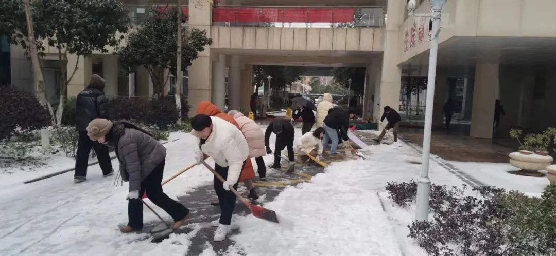 【以“雪”为令 以动制“冻” 】我院全力开展铲雪除冰行动