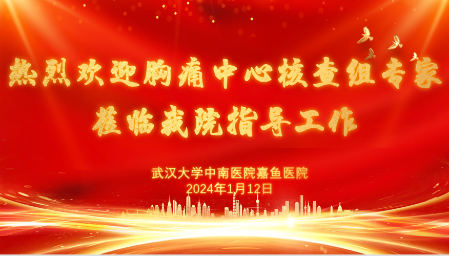 【热烈欢迎】胸痛中心核查组专家——莅临我院指导工作
