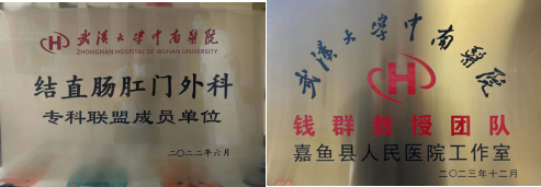名医专家进嘉鱼，贴心服务零距离