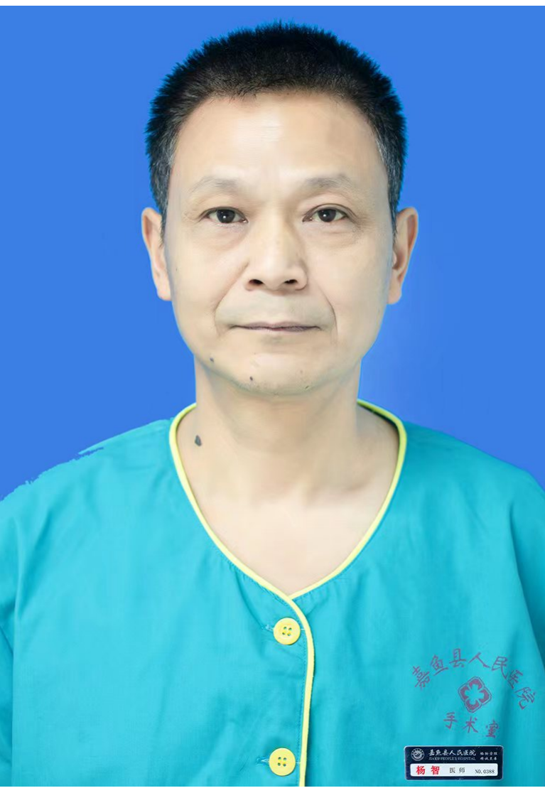 杨智